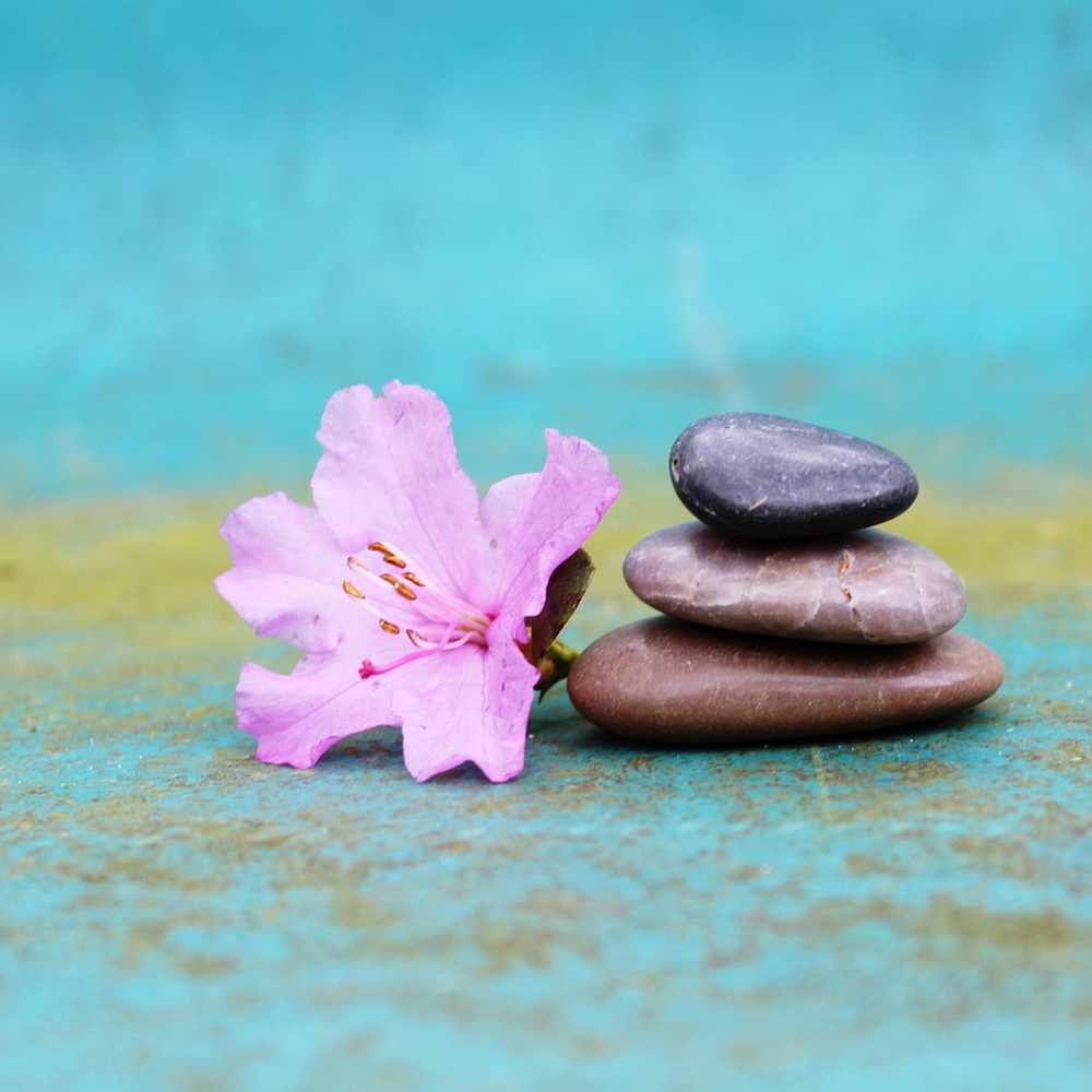 Làm Thế Nào Để Chuyển Hóa Khổ Đau Để Sống An Vui Hạnh Phúc?