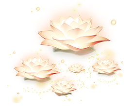 Shape Image